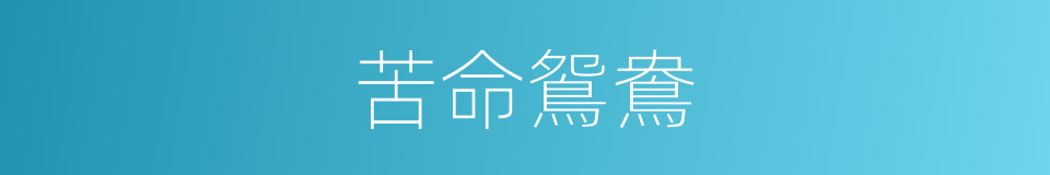 苦命鴛鴦的同義詞