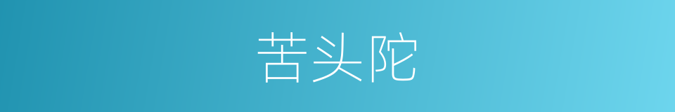 苦头陀的同义词