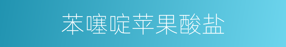 苯噻啶苹果酸盐的同义词