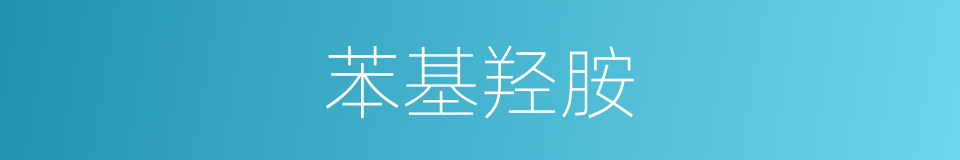 苯基羟胺的同义词