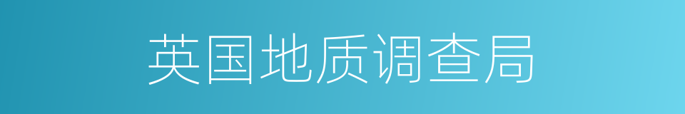 英国地质调查局的同义词