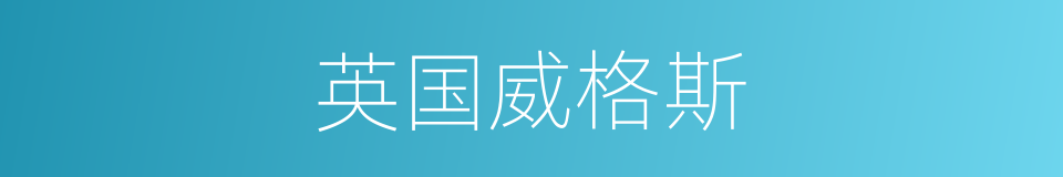 英国威格斯的同义词