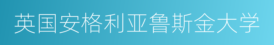 英国安格利亚鲁斯金大学的同义词
