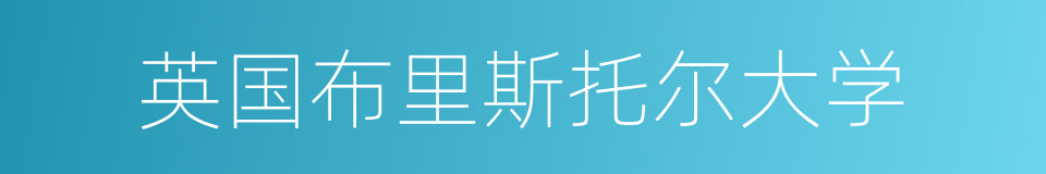 英国布里斯托尔大学的同义词