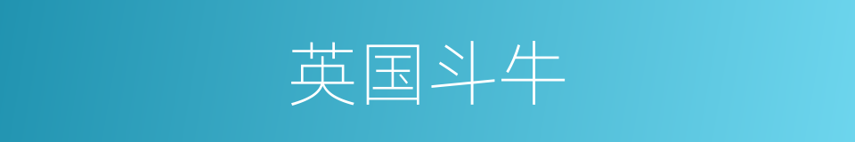 英国斗牛的同义词