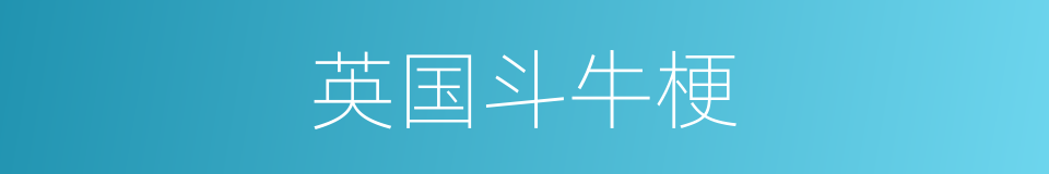 英国斗牛梗的同义词