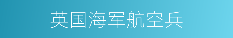 英国海军航空兵的同义词