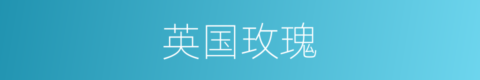 英国玫瑰的同义词