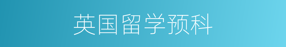 英国留学预科的同义词