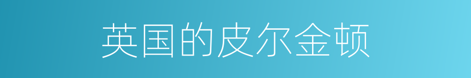 英国的皮尔金顿的同义词