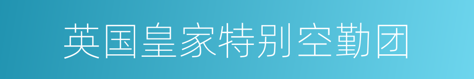 英国皇家特别空勤团的同义词