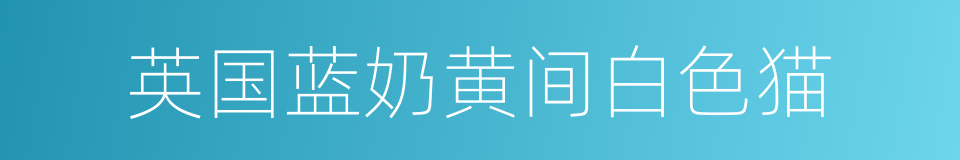 英国蓝奶黄间白色猫的同义词