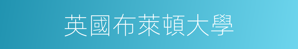 英國布萊頓大學的同義詞