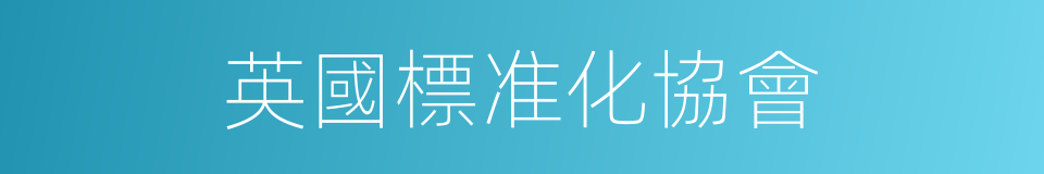 英國標准化協會的同義詞