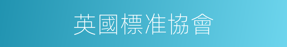 英國標准協會的同義詞