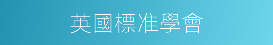 英國標准學會的同義詞