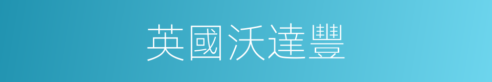 英國沃達豐的同義詞