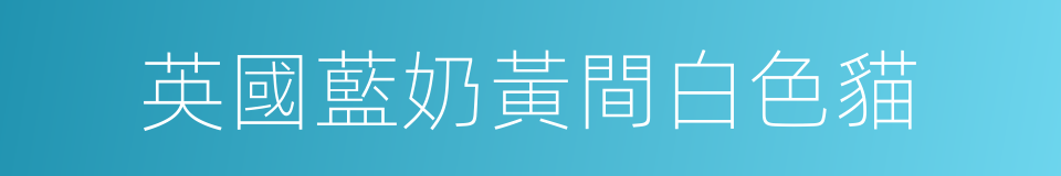 英國藍奶黃間白色貓的同義詞