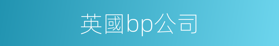 英國bp公司的同義詞
