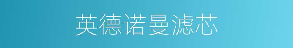 英德诺曼滤芯的同义词
