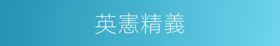 英憲精義的同義詞