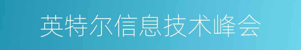 英特尔信息技术峰会的同义词