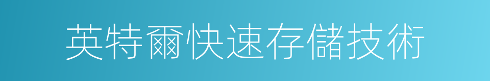 英特爾快速存儲技術的同義詞