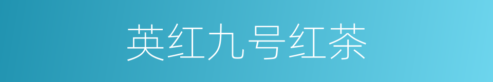 英红九号红茶的同义词