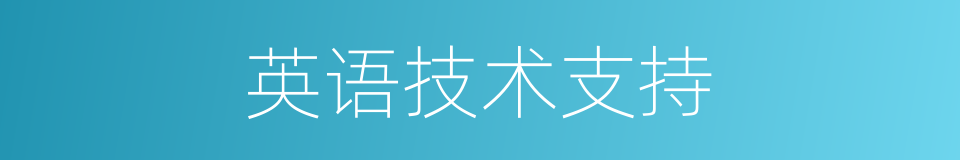 英语技术支持的同义词