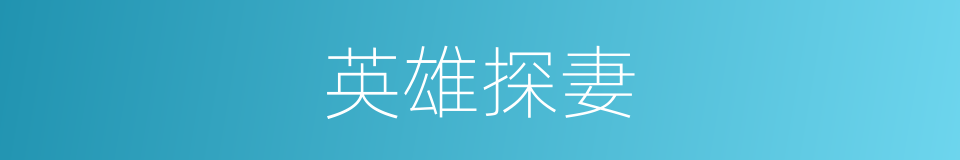 英雄探妻的同义词