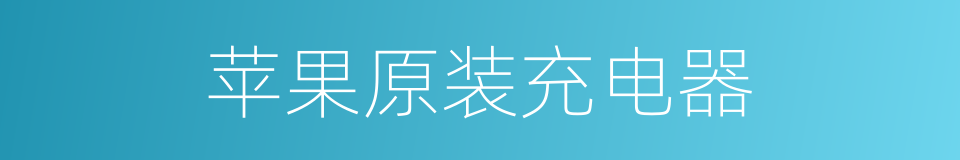 苹果原装充电器的同义词