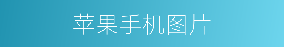 苹果手机图片的同义词