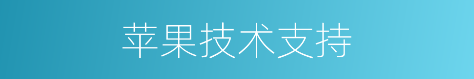 苹果技术支持的同义词