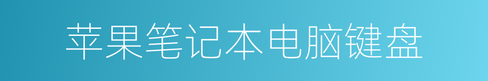 苹果笔记本电脑键盘的同义词