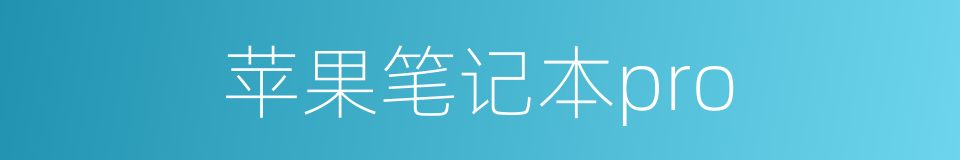苹果笔记本pro的同义词
