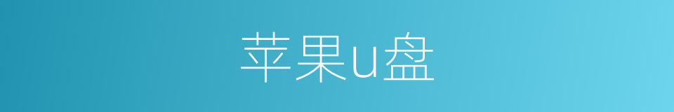 苹果u盘的同义词