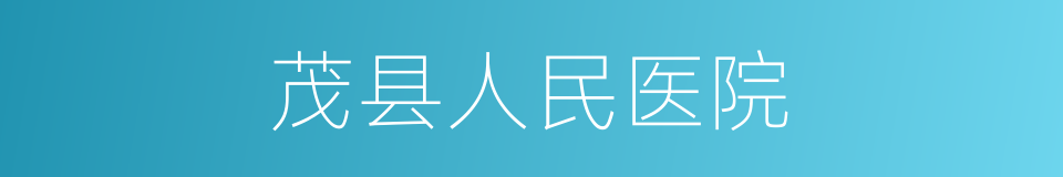 茂县人民医院的同义词