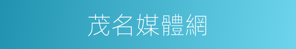 茂名媒體網的同義詞