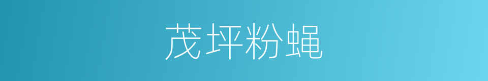 茂坪粉蝇的同义词