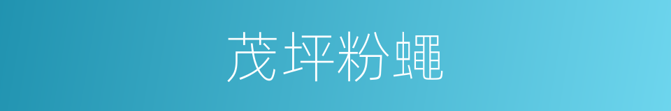 茂坪粉蠅的同義詞