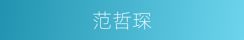 范哲琛的同义词