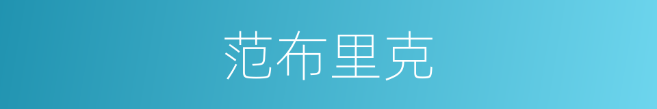 范布里克的同义词
