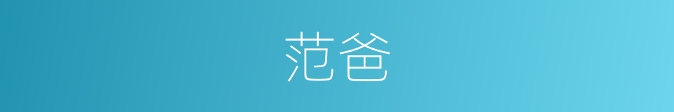 范爸的同义词