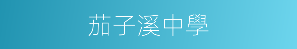茄子溪中學的同義詞