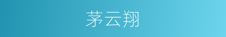 茅云翔的同义词