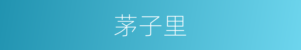 茅子里的同义词