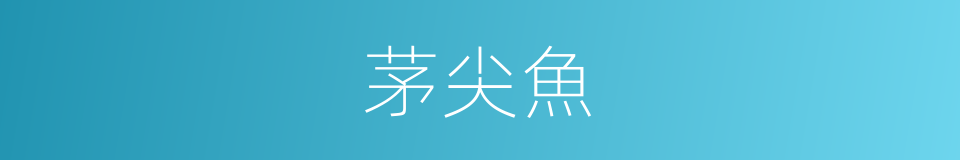 茅尖魚的同義詞