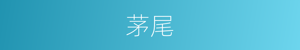 茅尾的同义词