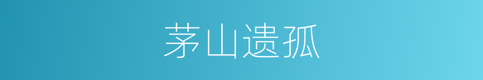 茅山遗孤的同义词