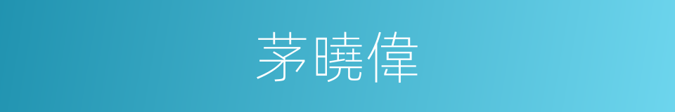 茅曉偉的同義詞